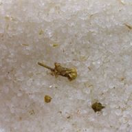 Mix di Sali Himalayani 500g - Rivitalizzante per la Pelle