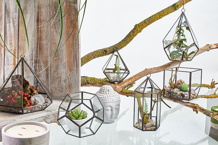 Terrario in Vetro - Cubo su Vertice