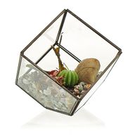 Terrario in Vetro - Cubo su Vertice
