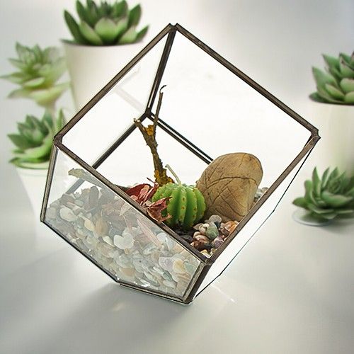 Terrario in Vetro - Cubo su Vertice