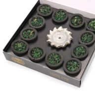 Box Resine in coppino - Salvia Bianca