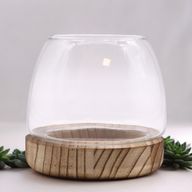 Terrario in Vetro Piccolo - Legno Tung 13x13cm