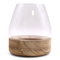 Terrario in Vetro Grande - Legno Tung 17x19cm