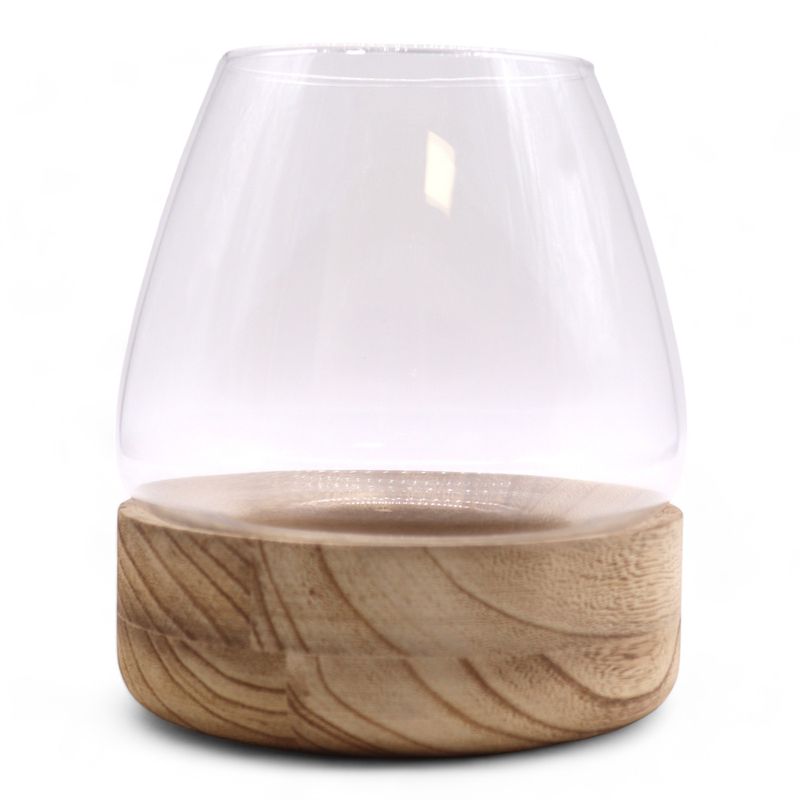 Terrario in Vetro Grande - Legno Tung 17x19cm