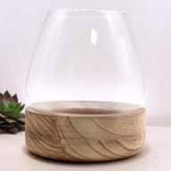 Terrario in Vetro Grande - Legno Tung 17x19cm
