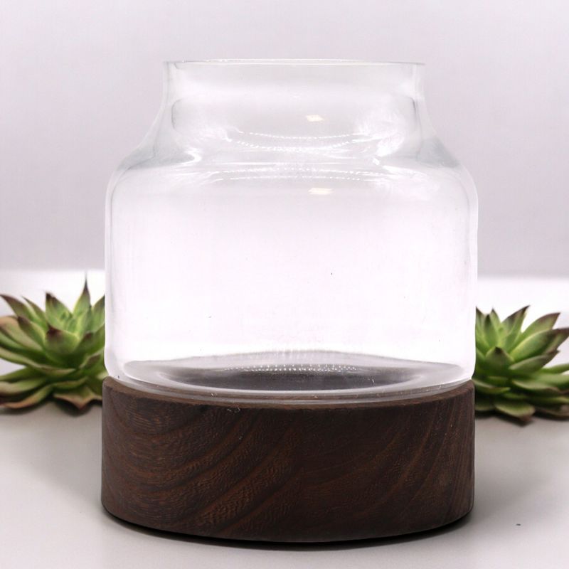 Terrario in Vetro Piccolo - Legno Tung Scuro 12x13cm