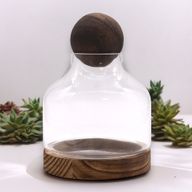 Terrario in Vetro Medio - Legno Tung Scuro & Sfera 17x22cm