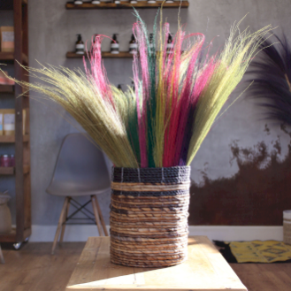 Decorazioni Pampus