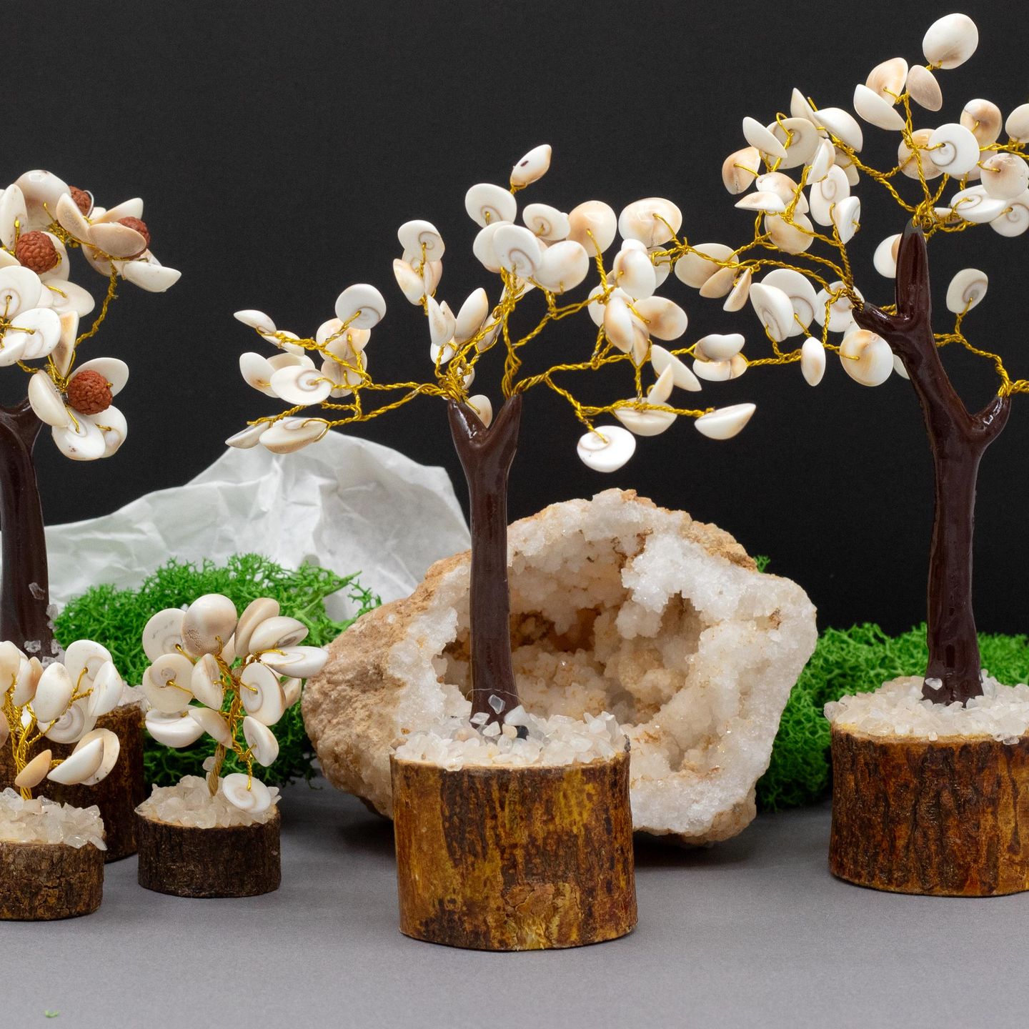 Alberi di Pietre Gomati Chakra