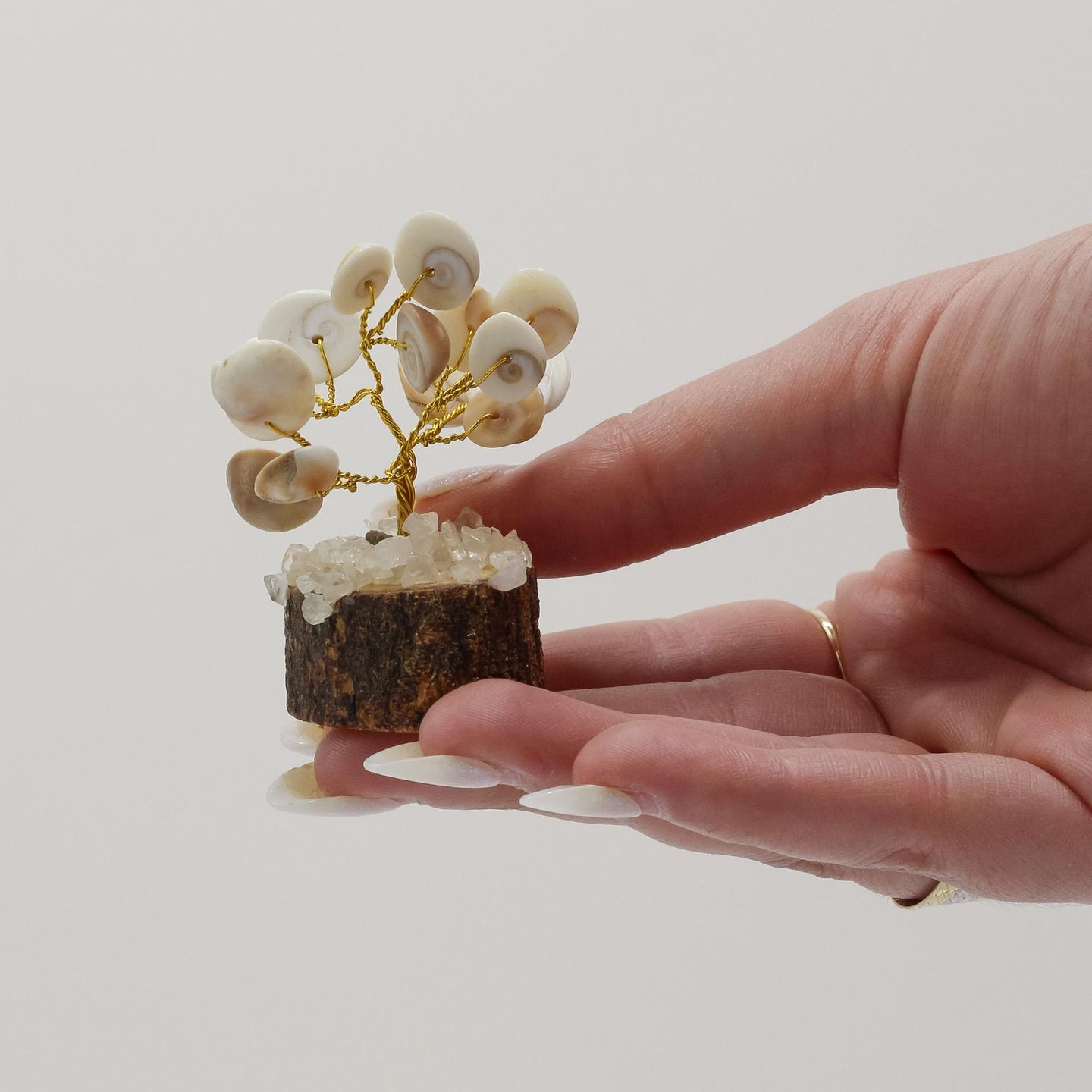 Alberi di Pietre Gomati Chakra
