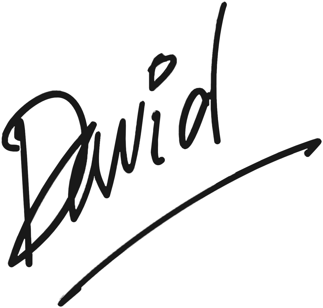 David's Signature_1 (3).png