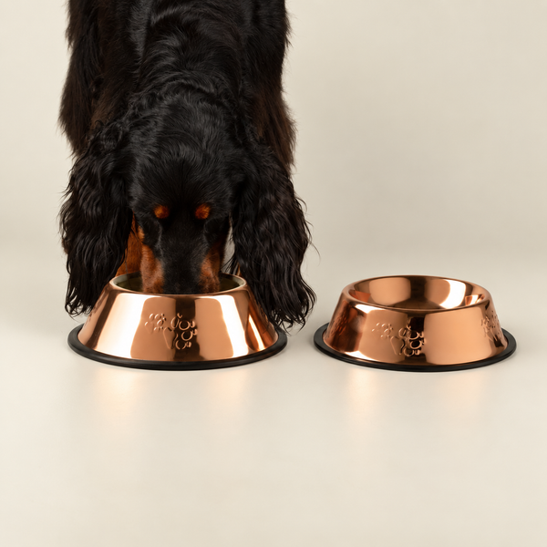 Ciotole per Animali PAW