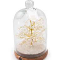 Giardino Zen con Cupola di Pietre Semipreziose - Cristallo di Quarzo e Luci LED - 200 Pietre a Scaglie