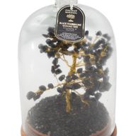 Giardino di Pietre Semipreziose sotto Cupola - Tormalina Nera e Luci LED - 200 Pietre