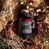 Kit di Avviamento Ancient Witch – 69 Pezzi | Risparmia il 10%