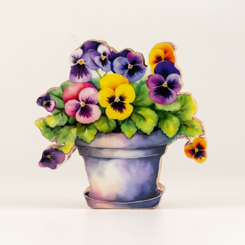 Piante da Casa in Legno - Mini Viola del Pensiero