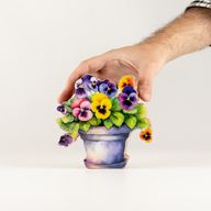 Piante da Casa in Legno - Mini Viola del Pensiero