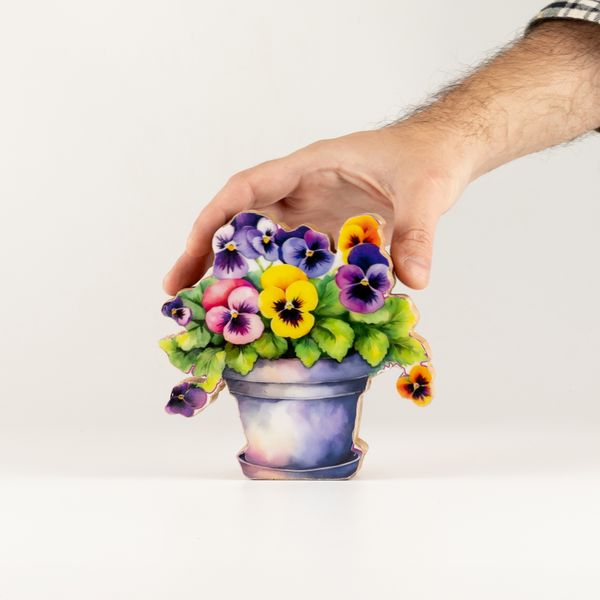 Piante da Casa in Legno - Mini Viola del Pensiero