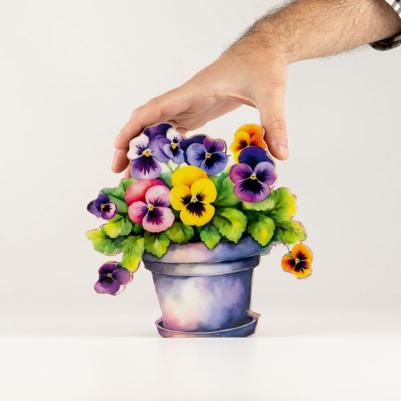 Piante da Casa in Legno - Viola del Pensiero Media