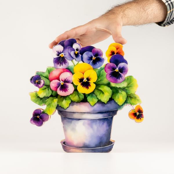 Piante da Casa in Legno - Viola del Pensiero Grande