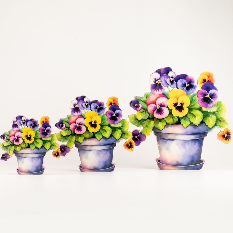 Piante da Casa in Legno - Viola del Pensiero Media