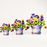 Piante da Casa in Legno - Viola del Pensiero Grande