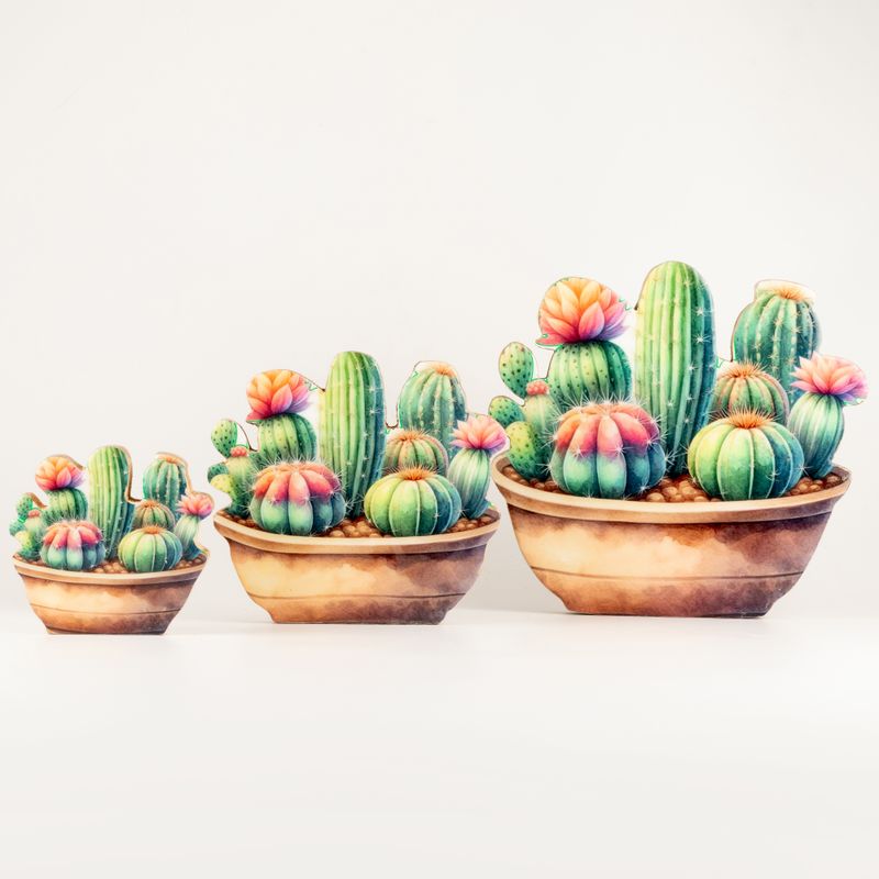 Piante da Interno in Legno - Mini Giardino di Cactus