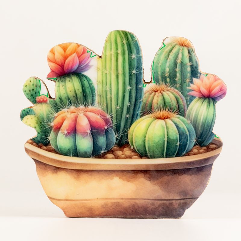 Piante da Casa in Legno - Giardino di Cactus Medio