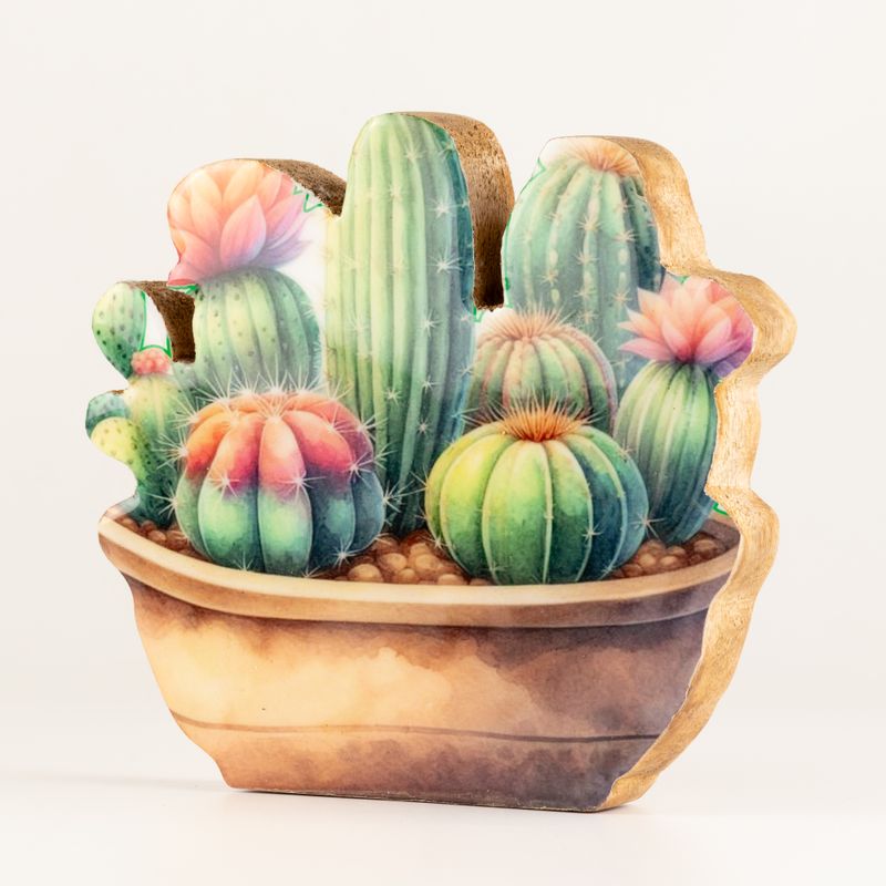 Piante da Casa in Legno - Giardino di Cactus Medio