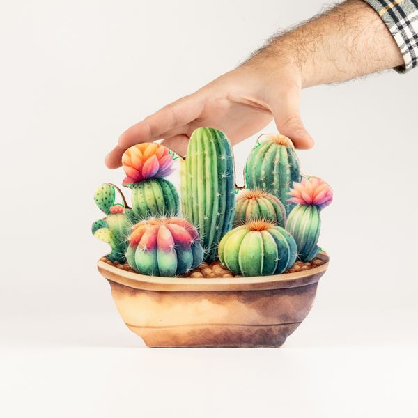 Piante da Casa in Legno - Giardino di Cactus Medio
