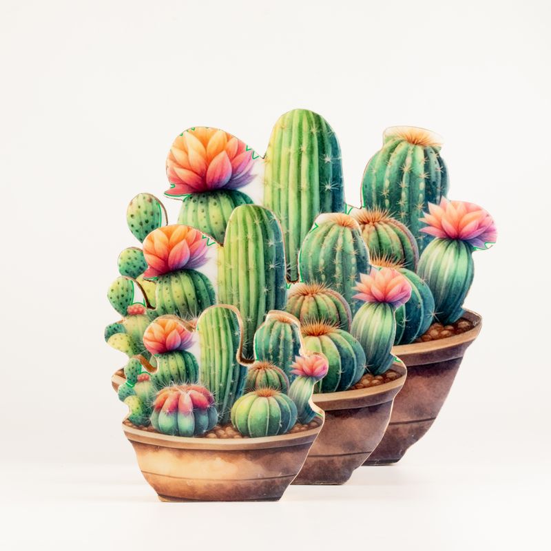 Piante da Casa in Legno - Giardino di Cactus Medio