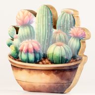 Piante da Interno in Legno - Grande Giardino di Cactus