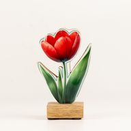 Piante da Interno in Legno - Mini Tulipano
