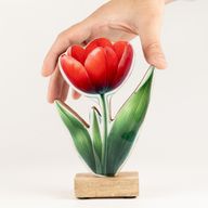 Piante da Interno in Legno - Tulipano Medio