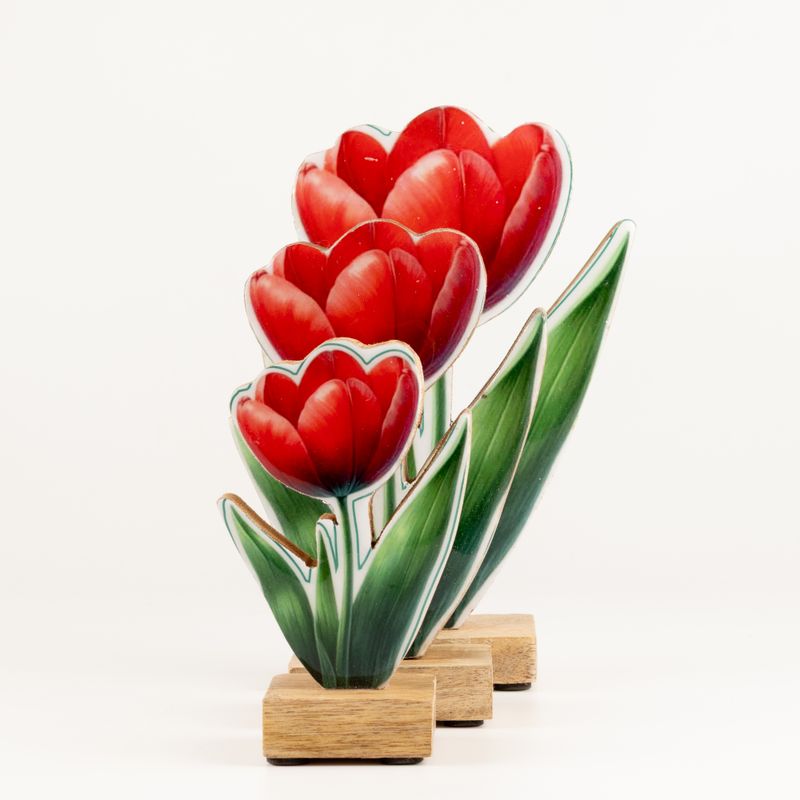 Piante da Interno in Legno - Tulipano Medio
