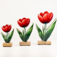 Piante da Interno in Legno - Tulipano Medio