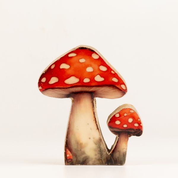 Piante da Casa in Legno - Mini Fungo Redcap