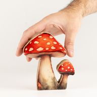 Piante da Casa in Legno - Mini Fungo Rosso