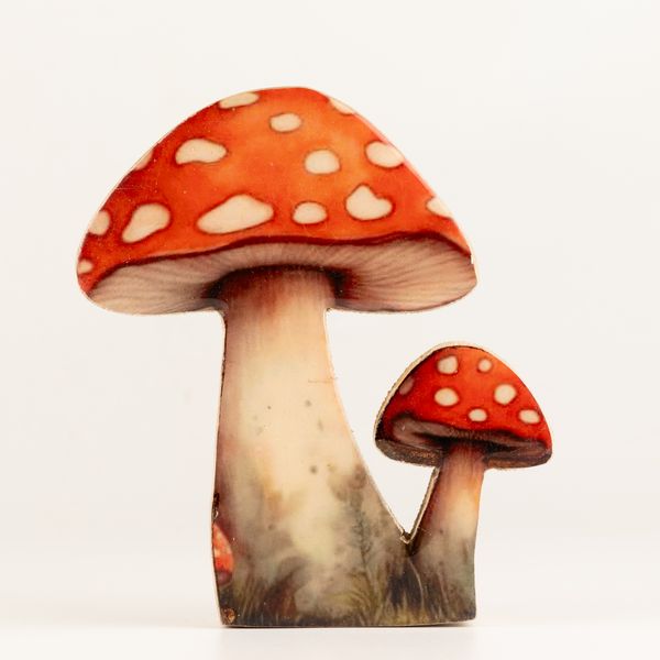 Piante da Casa in Legno - Fungo Redcap Medio