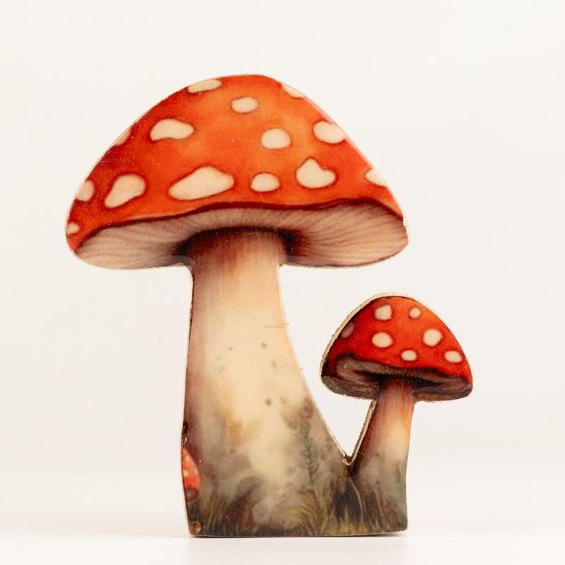Piante da Casa in Legno - Fungo Amanita Rosso Medio