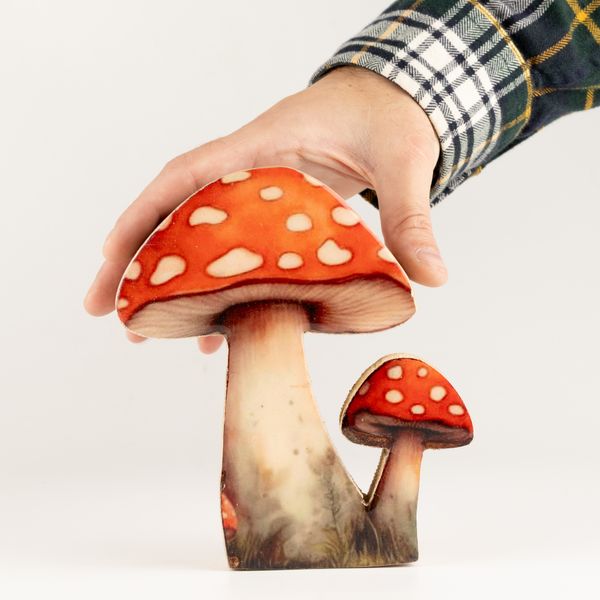 Piante da Casa in Legno - Fungo Redcap Medio