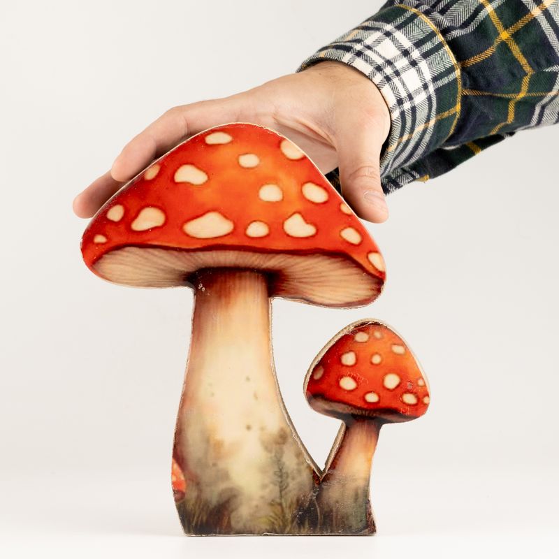 Piante da Casa in Legno - Fungo Grande Amanita Muscaria