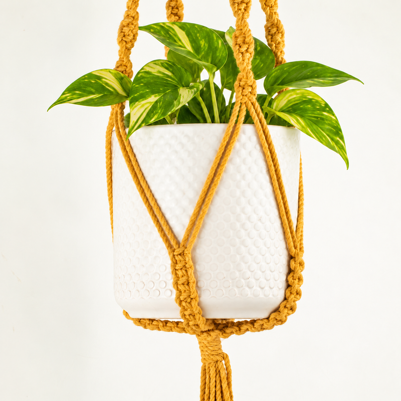 Portavaso in Macramè Semplice - Senape