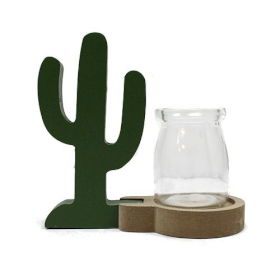 Decorazioni Idroponiche - Cactus Colorato