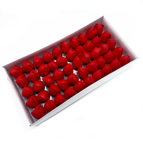 50x Fiori di Sapone DIY - Tulipano Medio - Rosso