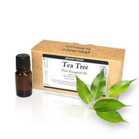 10x Olio Essenziale - Tea Tree (no etichetta)
