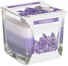 6x Candela Arcobaleno - Lavanda