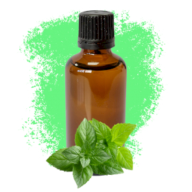 10x Oli Essenziali 50ml - Menta Piperita (Senza Etichetta)