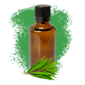 10x Oli Essenziali 50ml - Tea Tree (Senza Etichetta)