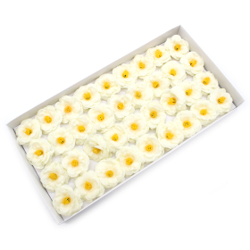 36x Fiori di Sapone DIY - Camelia - Crema